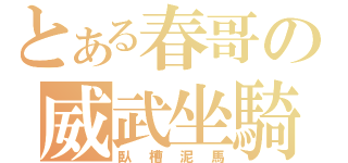 とある春哥の威武坐騎（臥槽泥馬）