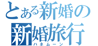 とある新婚の新婚旅行（ハネムーン）