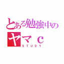 とある勉強中のヤマｃ（ＳＴＵＤＹ）