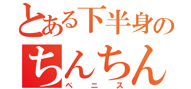 とある下半身のちんちん（ペニス）