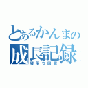 とあるかんまの成長記録（寝落ち回避）