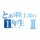 とある陸上部の１年生Ⅱ（かっぴー）