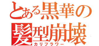 とある黒華の髪型崩壊（カリフラワー）