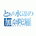 とある水辺の加奈陀雁（カナダガン）