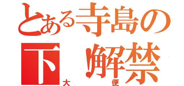 とある寺島の下！解禁（大便）