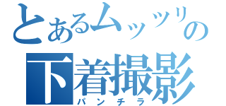 とあるムッツリーニの下着撮影（パンチラ）