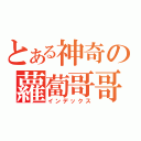 とある神奇の蘿蔔哥哥（インデックス）