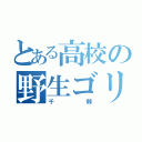 とある高校の野生ゴリラ（千棘）