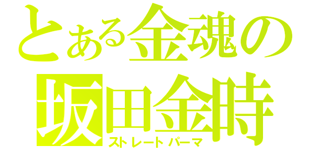 とある金魂の坂田金時（ストレートパーマ）