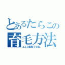 とあるたらこの育毛方法（どんな髪型でも変。）