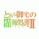 とある御宅の情報処理Ⅱ（ハチガキ）