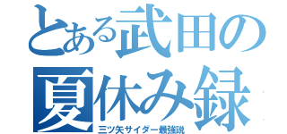 とある武田の夏休み録（三ツ矢サイダー最強説）