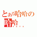 とある哈哈の哈哈（ＹＡＹＡ）