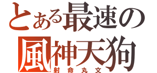 とある最速の風神天狗（射命丸文）