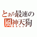 とある最速の風神天狗（射命丸文）