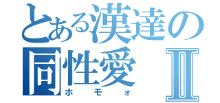 とある漢達の同性愛Ⅱ（ホモォ）