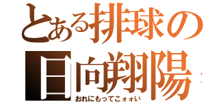 とある排球の日向翔陽（おれにもってこォォい）