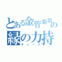 とある金管楽器の縁の力持ち（チューバ）