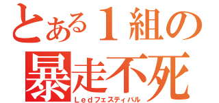 とある１組の暴走不死鳥（Ｌｅｄフェスティバル）