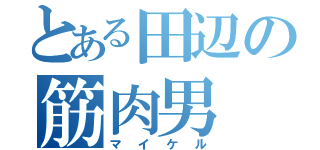 とある田辺の筋肉男（マイケル）