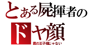 とある屍揮者のドヤ顔（君の王子様じゃない）