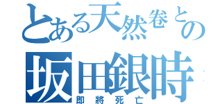 とある天然卷と血糖過高の坂田銀時（即將死亡）