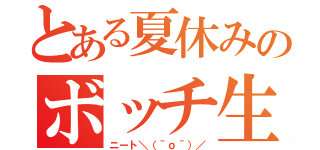 とある夏休みのボッチ生活（ニート＼（＾ｏ＾）／）