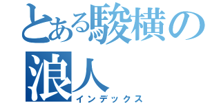 とある駿横の浪人（インデックス）