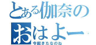 とある伽奈のおはよー（今起きたなのね）