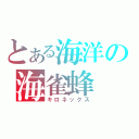 とある海洋の海雀蜂（キロネックス）