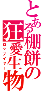 とある棚餅の狂愛生物（ロップイヤー）