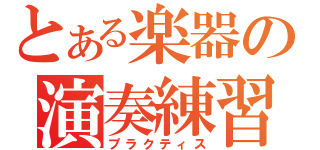 とある楽器の演奏練習（プラクティス）