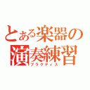 とある楽器の演奏練習（プラクティス）