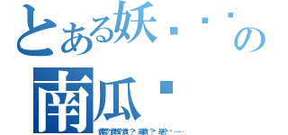 とある妖孽队长の南瓜们（袁哲？袁成？袁许？还是袁齐？这是个问题……）