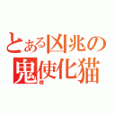 とある凶兆の鬼使化猫（橙）