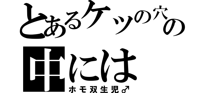 とあるケツの穴の中には（ホモ双生児♂）