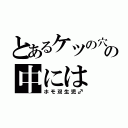 とあるケツの穴の中には（ホモ双生児♂）