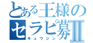 とある王様のセラピ募集録Ⅱ（キュウジン）