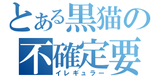 とある黒猫の不確定要素（イレギュラー）