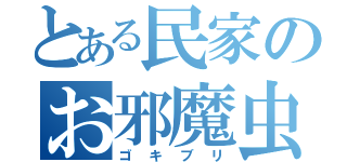 とある民家のお邪魔虫（ゴ　キ　ブ　リ）