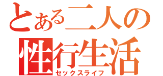 とある二人の性行生活（セックスライフ）