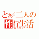 とある二人の性行生活（セックスライフ）