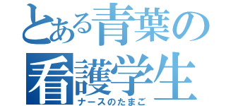 とある青葉の看護学生（ナースのたまご）