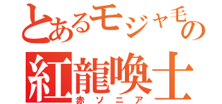 とあるモジャ毛の紅龍喚士（赤ソニア）