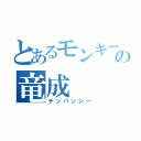 とあるモンキーの竜成（チンパンジー）