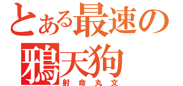 とある最速の鴉天狗（射命丸文）