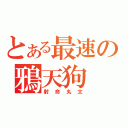 とある最速の鴉天狗（射命丸文）