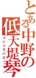 とある中野の低大堤琴Ⅱ（コントラバス）