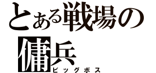 とある戦場の傭兵（ビッグボス）