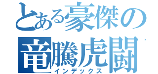 とある豪傑の竜騰虎闘（インデックス）